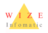 wize infomatic
